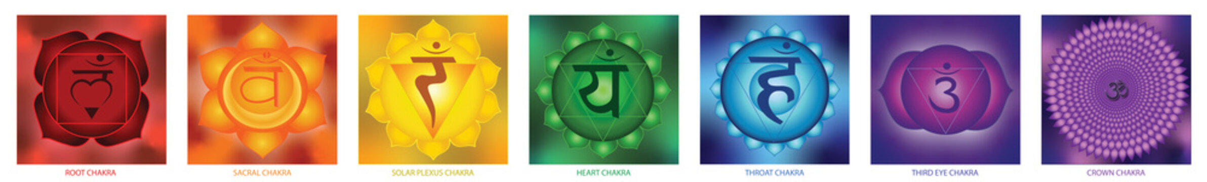 seven chakra