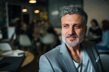 Wall Mural - A portrait of a mature businessman sitting in a cafe. Copy space.