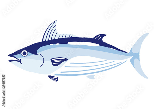 鰹 イラスト Stock ベクター Adobe Stock 鰹 イラスト Stock ベクター Adobe Stock