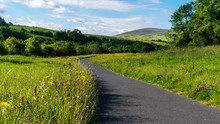 Tarmac Foot Path Through A Beautiful Green Grass And Wild Flowers Meadow On A Sunny Summer Day With Trees And Scenic Hills In The Distance. Landscape At The Kiltipper Park In Dublin, Ireland.