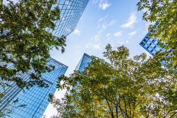 modern office building with green leaves.