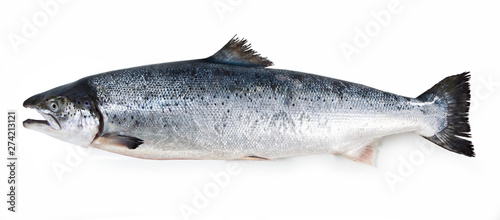 Fotomural salmon fish isolated on white background