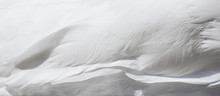 Beautiful White Feather Texture Background. White Swan Plumage.