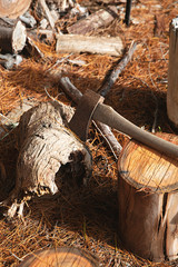 Close up of axe with wood outdoors in winter sunshine