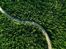 Aerial View Of Green Forest Road. Curved Road From Above.