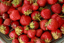 Red, Ripe, Juicy, Fragrant Strawberry Closeup