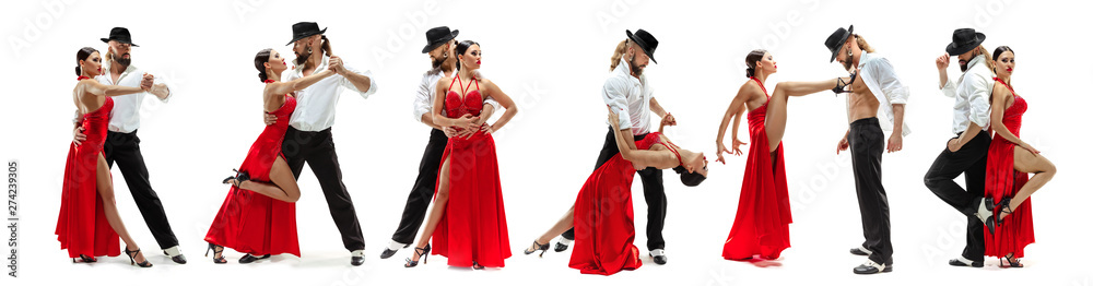 Elegance Latino dancers on white studio background. Beautiful and sensual couple dancing latina's dance or tango in bright clothing, full of motion, passion and action. Collage made of 2 models. - obrazy, fototapety, plakaty 