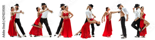 фотографія  Elegance Latino dancers on white studio background