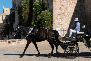 Canvas Print - Palma  in Mallorca