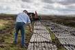 Men cutting turf in a peat bog field in rural Ireland, Peat bog is cultivated as a fuel source during spring season in the republic of Ireland 