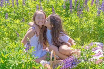 Two charming young girls with long hair on the field with lupins. Teen girl kisses her friend. Girlfriends, the concept of summer and freedom. Picture taken from behind.