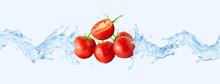 Fresh Ripe Tomatoes Branch With Water Dew Drops, Tomato Half And Cold Pure Water Splashes. 3D Wave Swirl Vegetable Design Element. Healthy Ecological Food, Vegetables Drink Liquid Design, Healthy Diet