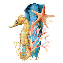 Watercolor Seahorse, Shell And Starfish Composition. Hand Painted Underwater Illustration With Coral Reef Isolated On White Background. Aquatic Illustration For Design, Print Or Background.