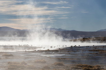 Aguas termales de Polques, hot springs with a pool of steaming natural thermal water in Bolivia