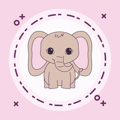 Poster - cute elephant animal with frame circular