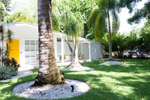 Large Palm Tree In Front Of House