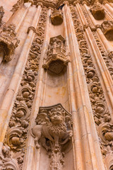 Catedral nueva de la Asuncion de la Virgen, Salamanca city, Salamanca province, Castilla y Leon, Spain, Europe