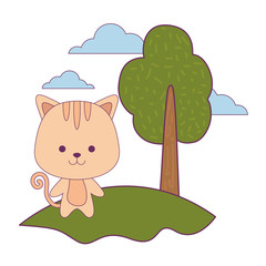 Poster - cute cat animal in landscape