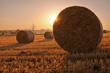 © Tandem Stock - Fields, Ditzingen, Germany: Bales of straw on a field in the early morning light.