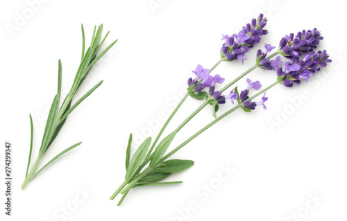 Lavender Flowers Isolated On White Background Wallpaper Mural