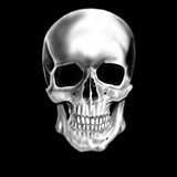 Fototapeta Tęcza - skull on black background