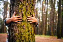 Ecology And Environment Concept With Caucasian People Woman Hugging A Green Tree In The Outdoor Forest - Nature And Eco Lifestyle - Change The World - World's Day And Protection For Life And Planet