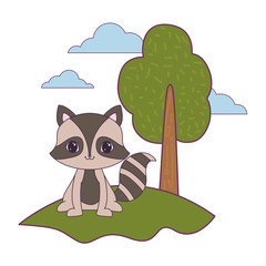 Poster - cute raccoon animal in landscape natural