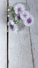 Wall Mural - Bouquet of white cornflower in a glass on a white wooden background