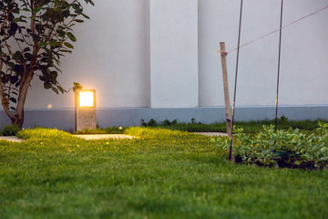 Wall Mural - metal floor lantern lighting the backyard trail with green plants from the lawn and wood.