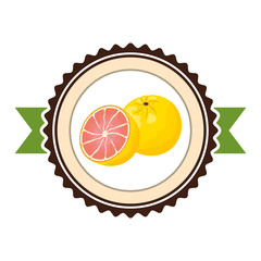 Sticker - tropical fruits design