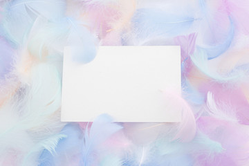 Wall Mural - abstract nackground with soft colorfull feathers and white frame. flat lay