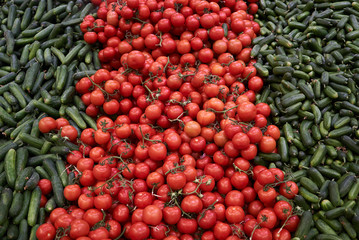 Wall Mural - Green cucumbers and red tomatoes, close-up. Vegetable food background, close-up