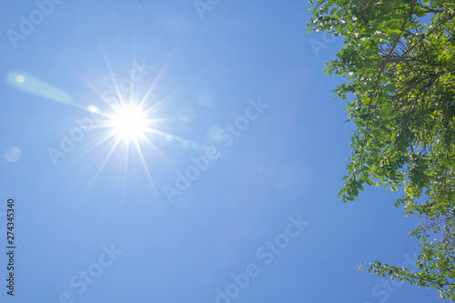 真夏の日差し 太陽と青空 Buy This Stock Photo And Explore Similar Images At Adobe Stock Adobe Stock 真夏の日差し 太陽と青空 Buy This Stock Photo And Explore Similar Images At Adobe Stock Adobe Stock