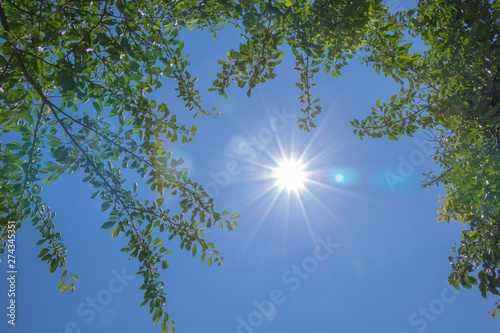 真夏の日差し 太陽と青空 Stock Photo Adobe Stock 真夏の日差し 太陽と青空 Stock Photo Adobe Stock