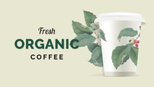 Organic Coffee Banner Template Design, White Coffee Cup Decorated With Branch Of Coffee Tree On Light Yellow