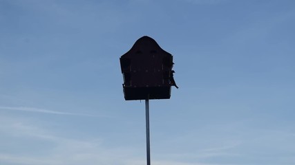 Wall Mural - Birds Landing on a Birdhouse, Then One of the Birds Flies Away