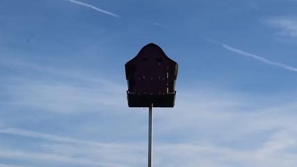 Wall Mural - Birds Flying Near a Birdhouse