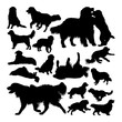 Golden retriever dog animal silhouettes. Good use for symbol, logo, web icon, mascot, sign, or any design you want.