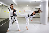 Martial artists showing dedication and discipline in taekwondo