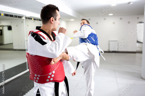 Принти на полотні Two taekwondo competitors training for a tournament