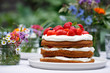 Scandinavian midsummer feast with strawberry cake