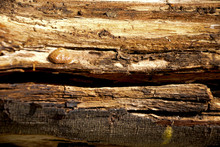 Texture Background Image Of Weathered, Natural, Reclaimed Wood Surface