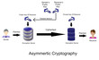 This is asymmetric cryptography. These are the encryption algorithm applied to connection.