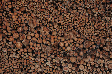 Wall Mural - A pile of cut wood. Wood for the production of particle board