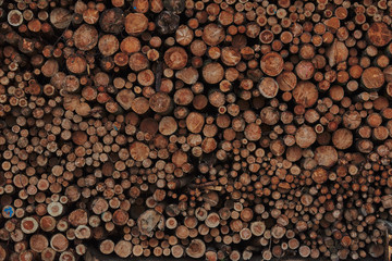 Wall Mural - A pile of cut wood. Wood for the production of particle board