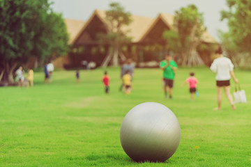 Wall Mural - Large gray rubber balls placed on green grass in the public park.