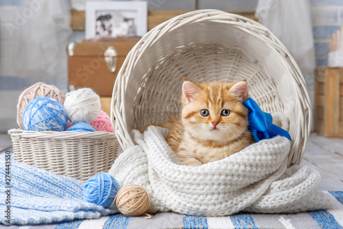 Cute kitten with a bow in a basket with balls of yarn Tableau sur Toile