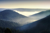 Fototapeta Góry - Schwarzwald, Nebel, Sonnenaufgang, Berge, Natur, Wald, Bäume