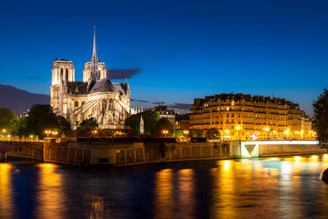 Wall Mural - Seine river and Notre Dame de Paris at night in Paris, France.