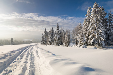 Tatra Mountain in winter, landscape wiht wiev of Tatra Poland Pieniny zakopane